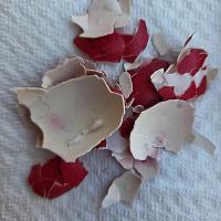 Img B12d00afcaf0e6703871531d9c6158b4 V