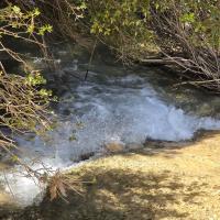 Img Bdfb4d2a31624b5b18a79a984ccc3218 V