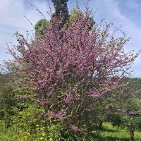 Img E05506ceb8142f8c337b3073eb107aa7 V