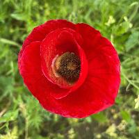 Img 20260502 Wa0027