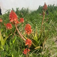 Photo 2026 05 09 16 18 59 21
