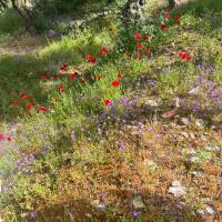 Photo 2026 05 09 16 19 00 2