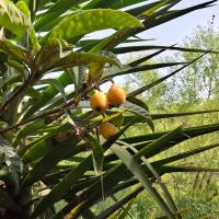 Photo 2026 05 09 16 19 16 2