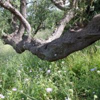 Photo 2026 05 09 16 19 17 3