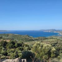 Img 20261003 Wa0027
