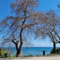 25-03-2023 Longa - Nea Koroni